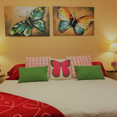 Villa Strelitzia Gran Canaria Ingenio Zewnętrze zdjęcie